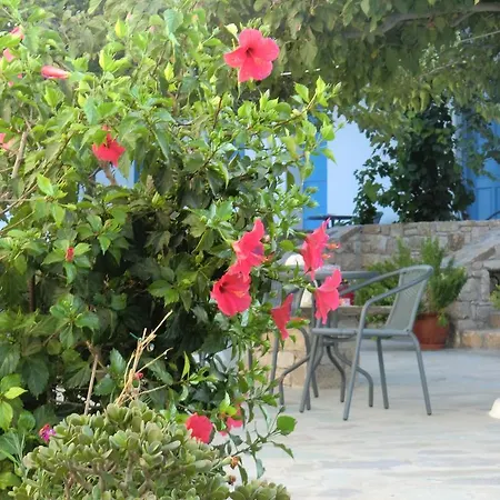Mykonos Vouniotis בית הארחה