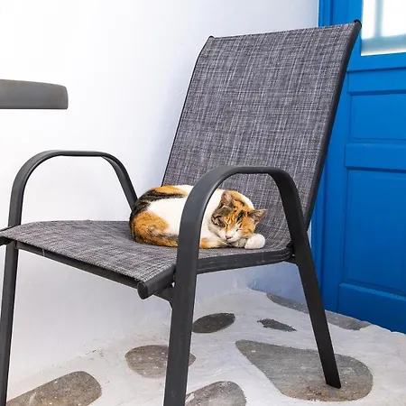 Affittacamere Mykonos Vouniotis