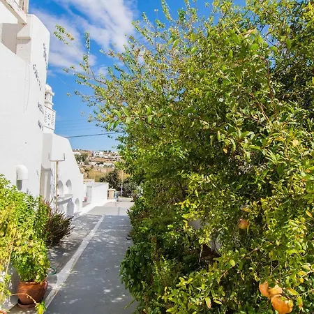 Mykonos Vouniotis Guest house 3*