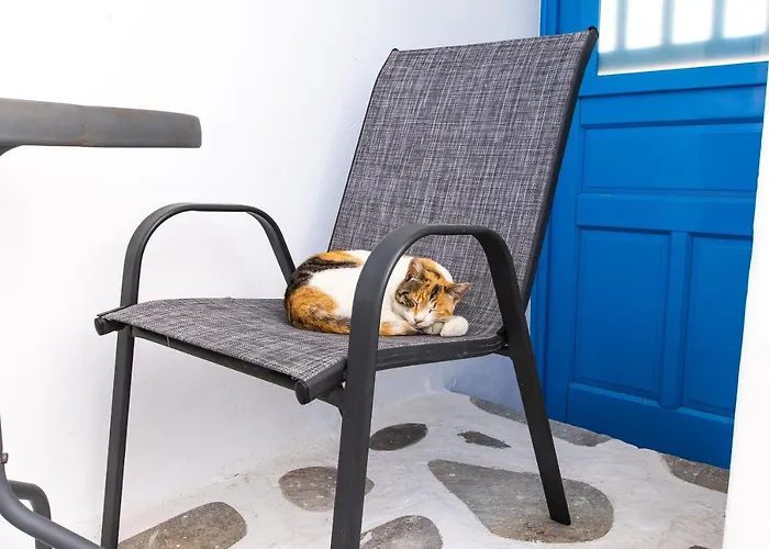 Pensionat Mykonos Vouniotis